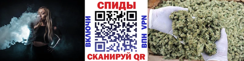 купить  сайты  Щёлково  БУТИРАТ бутик 