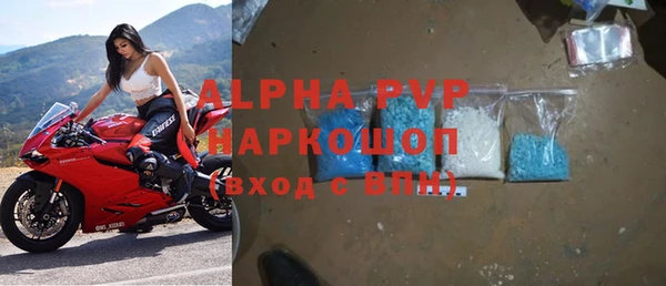 молекула духа Алексин